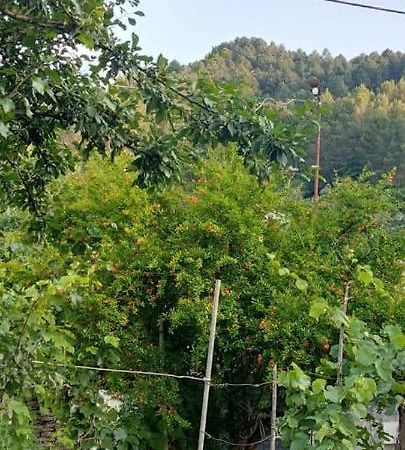 Apartament Teuta Përmet Esterno foto